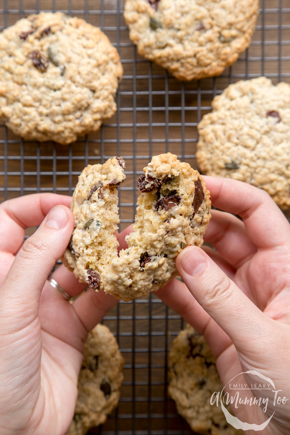 A hand holds a vegan oat cookie and is breaking it open. More vegan oat cookies are shown in the background, cooling on a wire rack.