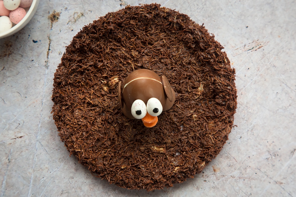 Easter egg chick sat in the middle of the chocolate nest, taken out of the fridge and placed upon a table