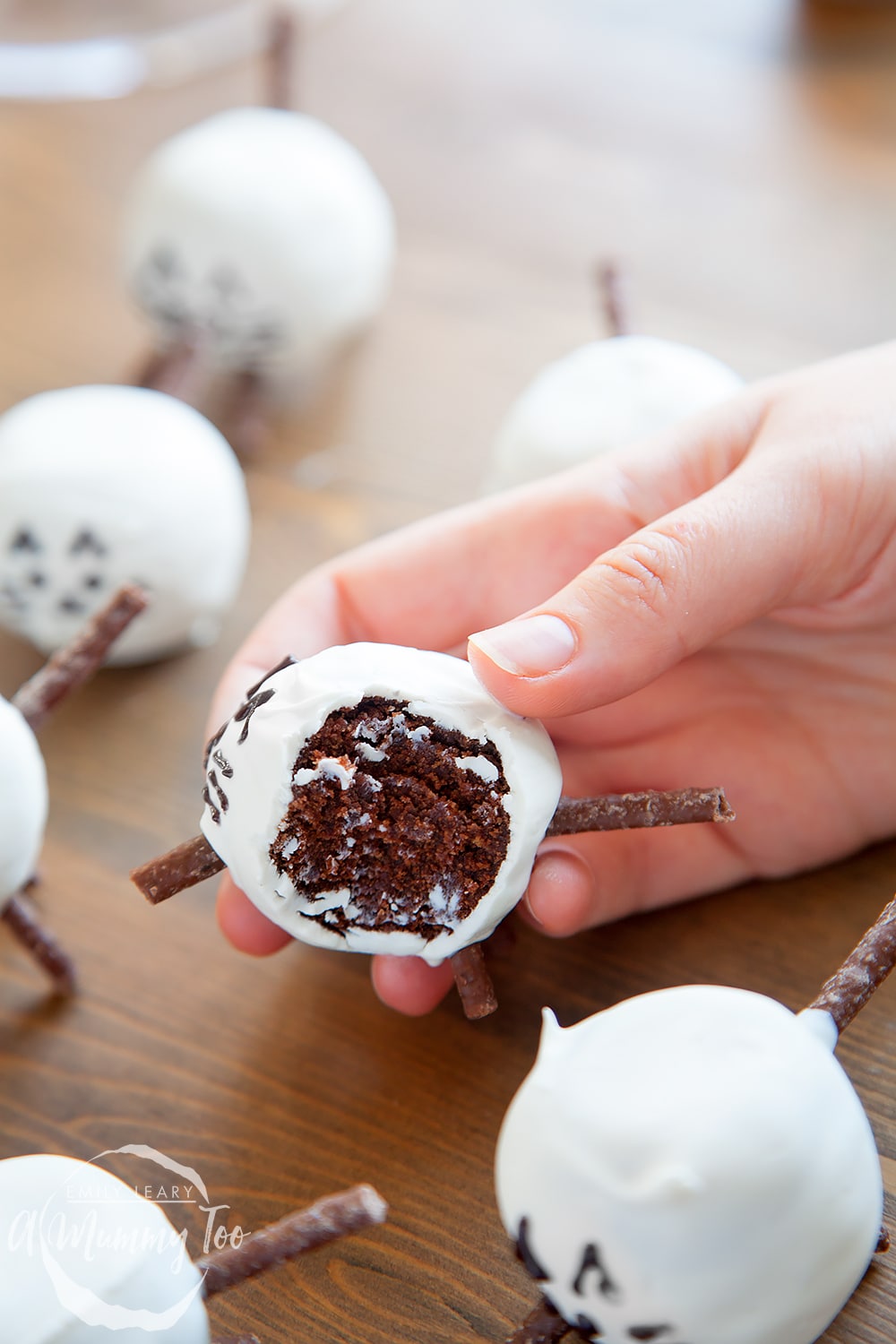 Inside the kitty cake pops, you can see how the chocolate sticks make the legs and the inside of the cake pop is the chocolate cake mixture.