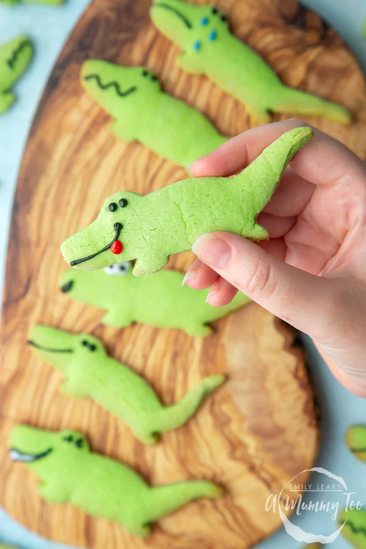 Overhead shot of a hand holding a Crocodile cookie with a mummy too logo in the lower-right corner