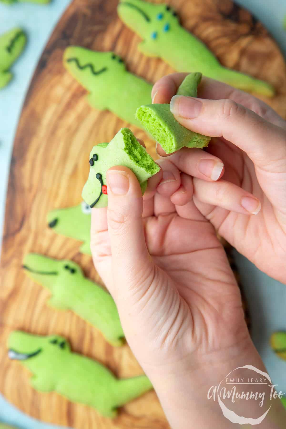 Hand breaking one of the crocodile cookies in half.