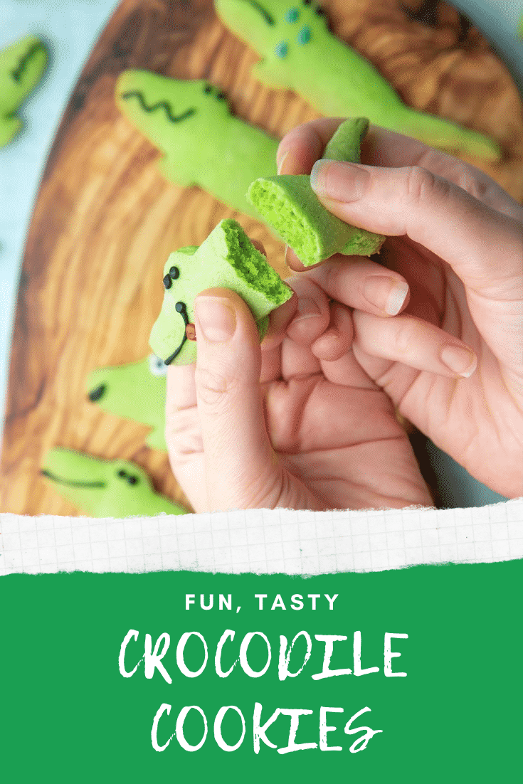 Overhead shot of a hand breaking a Crocodile sugar cookie above graphic text FUN, TASTY CROCODILE COOKIES