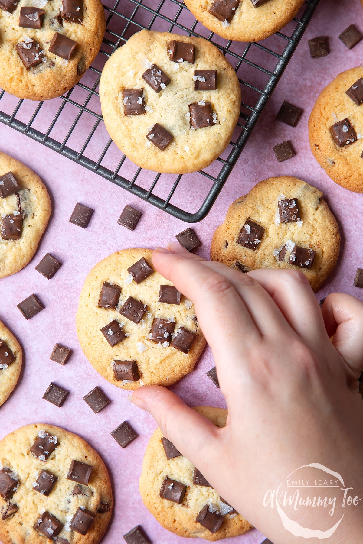 Overhead shot of a hand holding a chewy dark chocolate chip cookies with a mummy too logo in the lower-right corner