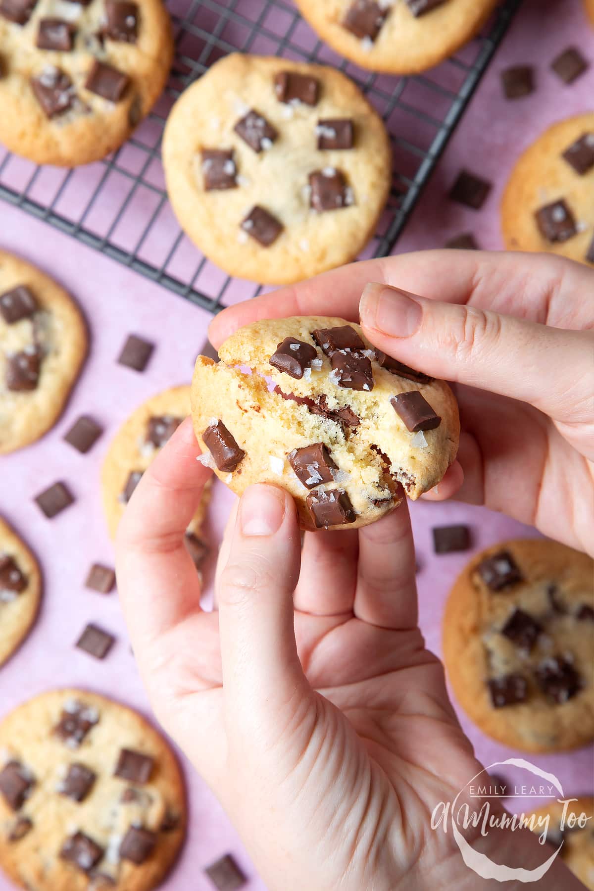Overhead shot of a hand breaking a dark chocolate chip cookies with a mummy too logo in the lower-right corner