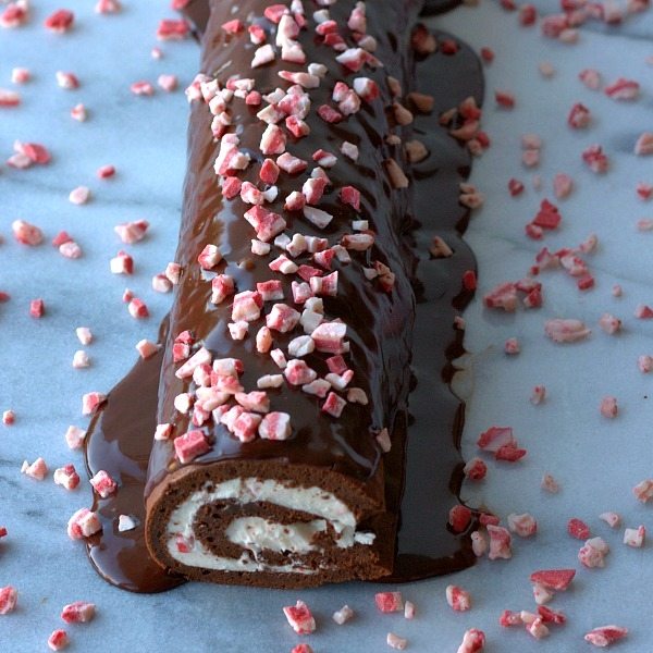 A close up photo of a chocolate and peppermint roulade.