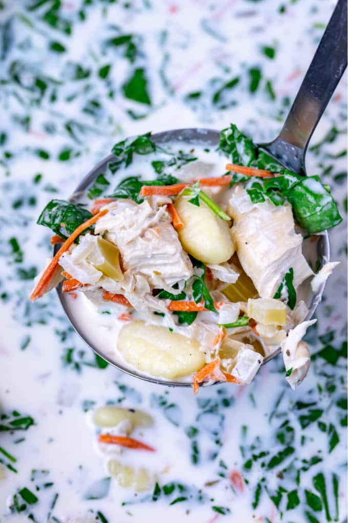 Chicken Gnocchi Soup on a ladle.