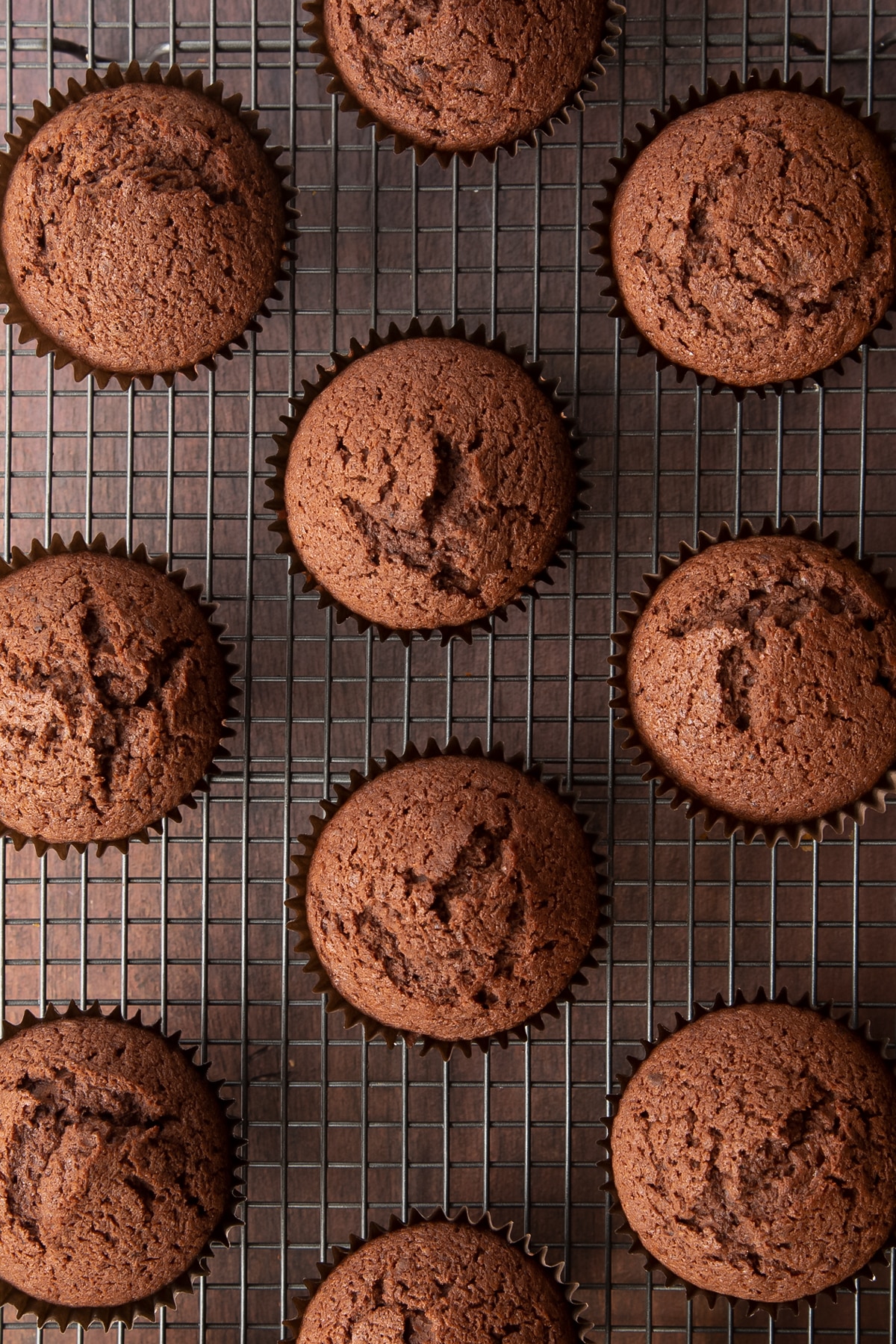 Baileys chocolate cupcakes. Shown from above on a wire cooling rack.