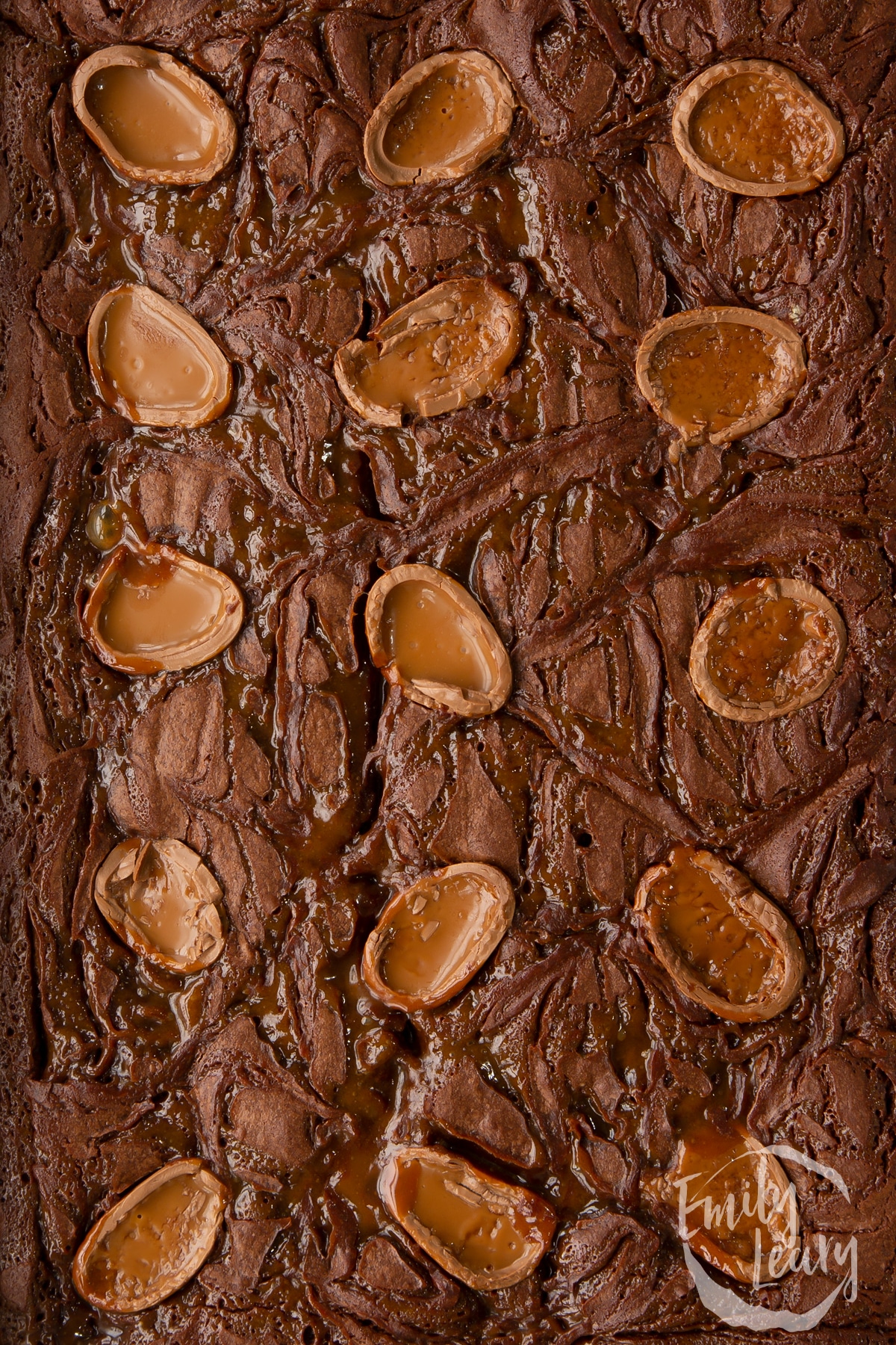 Overhead shot of the finished easter brownies in the tin before being cut.