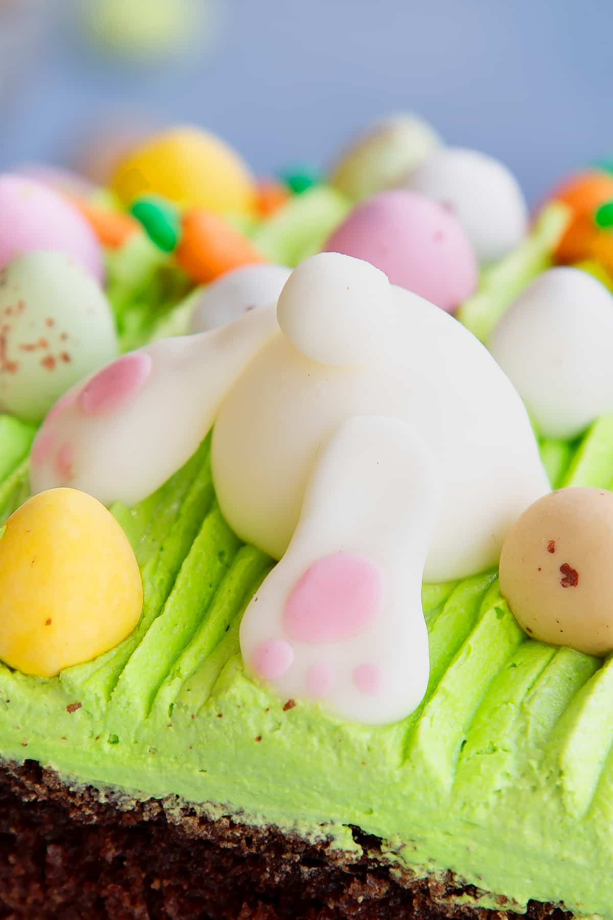 Close up of the bunny butt on the green icing.