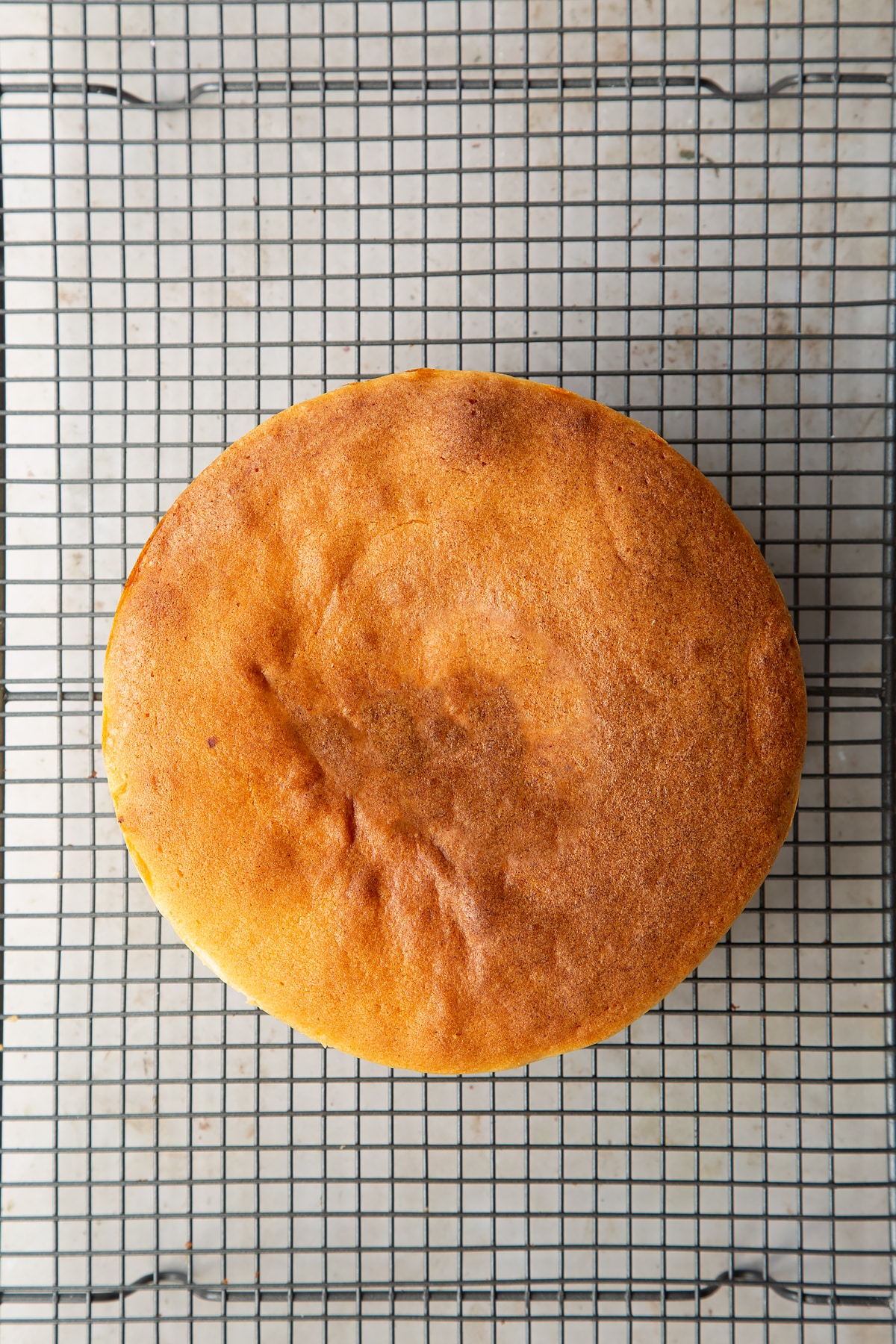 baked round plain sponge cake on a wire cooling rack.