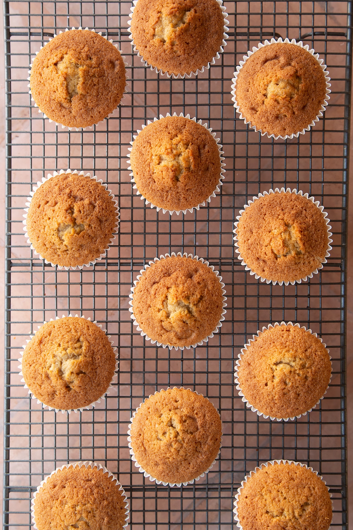 baked latte cupcakes in white bun cases on a wire cooling rack.