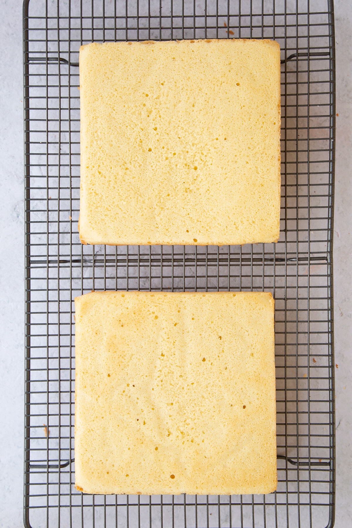 Two square sponges cooling on a wire rack.